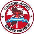 Nelson Caminoa