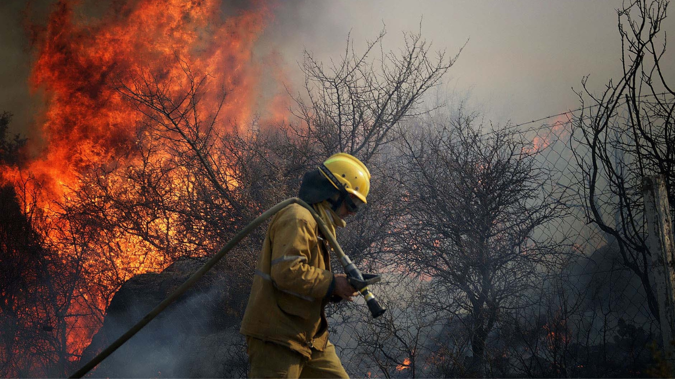 Incendios forestales: cuáles son las causas y cómo prevenirlos 