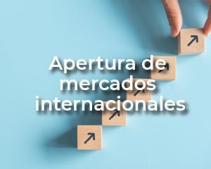 APERTURA DE MERCADOS INTERNACIONALES