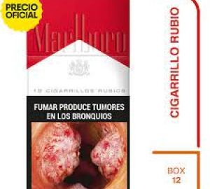 Marlboro x12