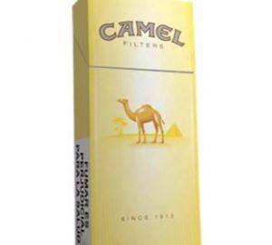 Camel x12