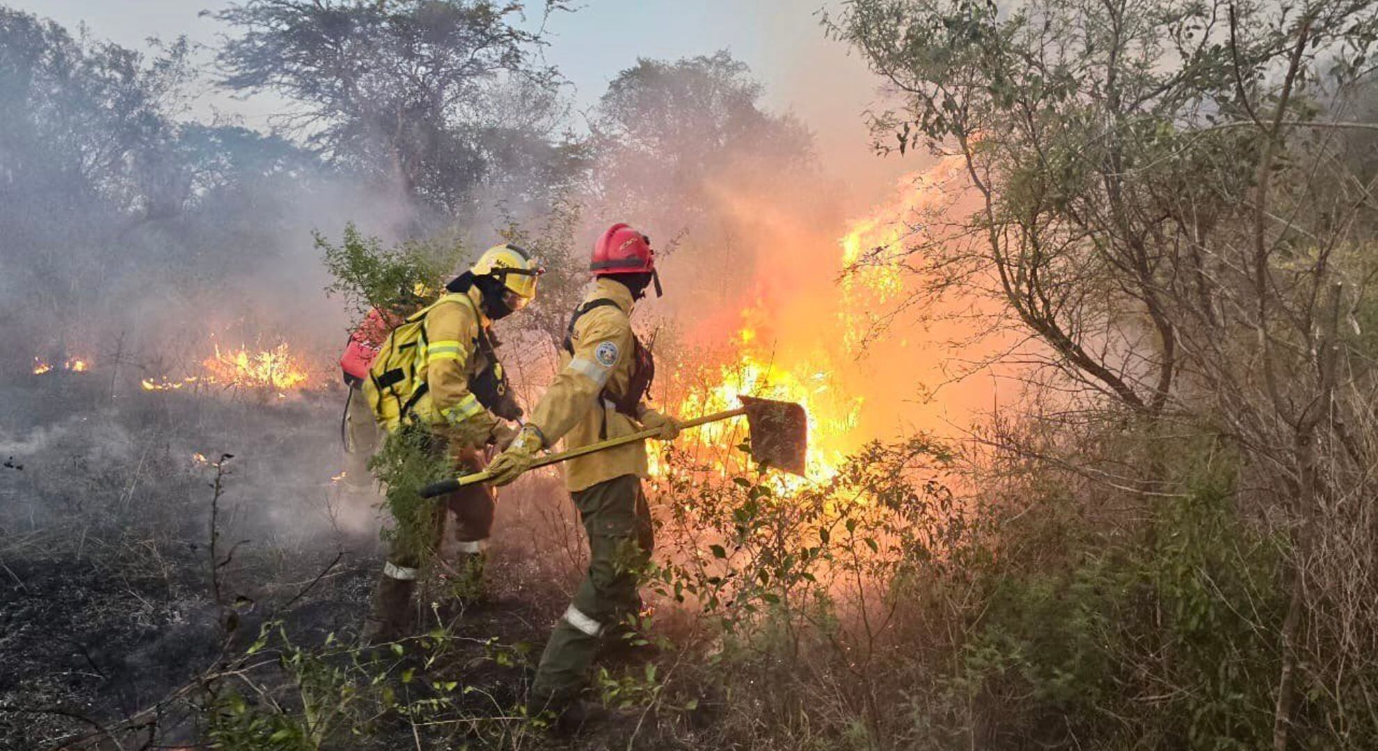 Más de 200 bomberos voluntarios que combatieron los incendios forestales recibirán nuevo equipamiento 