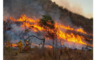 Campaña solidaria para ayudar a los bomberos voluntarios