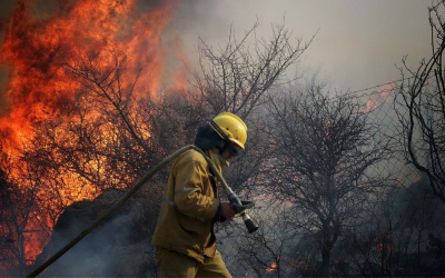 Incendios forestales: cuáles son las causas y cómo prevenirlos 