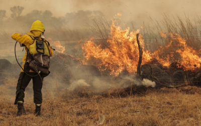 Puentes de la Prevención: Fundación presente en los incendios de la Patagonia