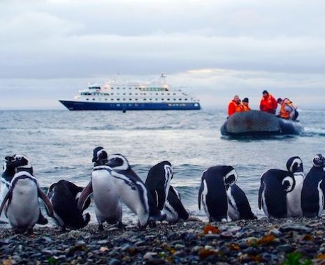 Expedition cruises in South American