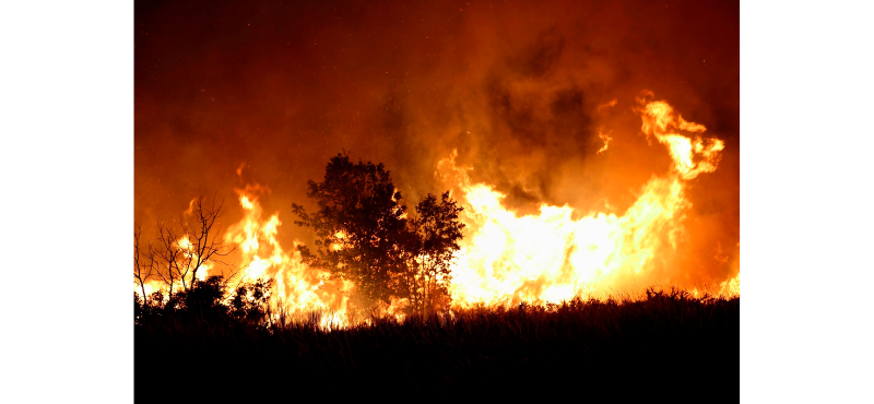 Colaborá con los bomberos voluntarios que combaten los incendios de la Patagonia