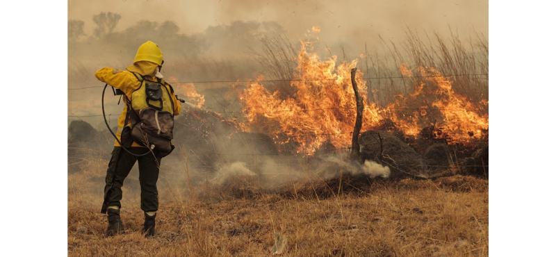 Puentes de la Prevención: Fundación presente en los incendios de la Patagonia